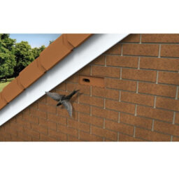 Swift Nesting Brick Box, Black Breeding Bird House For Brick Or Rendered Walls - thumbnail 5