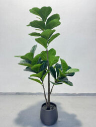 5Ft Realistic Artificial Fiddle Leaf Fig Tree With Decor Stone Indoor Outdoor Floor Lyrata Plant (H)150Cm - thumbnail 5