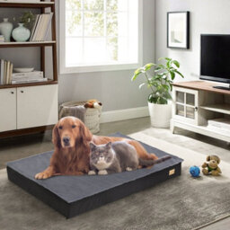 Bingopaw 120X75X10Cm Memory Foam Orthopedic Dog Bed Pet Mat With 2-Layer Replaceable Cover - thumbnail 8