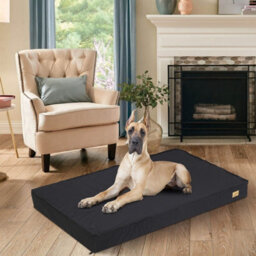 Bingopaw 120X75X10Cm Memory Foam Orthopedic Dog Bed Pet Mat With 2-Layer Replaceable Cover - thumbnail 1