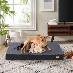Bingopaw 120X75X10Cm Memory Foam Orthopedic Dog Bed Pet Mat With 2-Layer Replaceable Cover - thumbnail 7