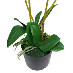 Leaf 60Cm Artificial Luxury Orchid - Triple Stem - Pink Realistic Plant - thumbnail 4