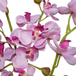 Leaf Artificial Orchid Flower Pink Orchid Arrangement  60Cm - thumbnail 2
