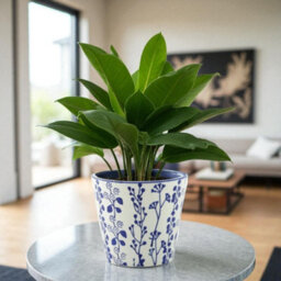Ceramic Blue/white Floral Planter (H19 X W20Cm) - thumbnail 2