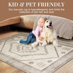 Ameha Modern Area Rugs Cashmere Living Room Bedroom Carpets-120X170 Cm Radiant - thumbnail 1