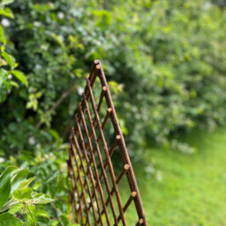 Selections Set Of 3 Willow Lattice Trellis With Gothic Top (120Cm X 45Cm) - thumbnail 5