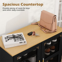 Wooden Modern Shoe Storage Organizer With Mesh Doors Black - thumbnail 4