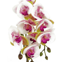 Leaf 48Cm Harlequin Orchid Artificial  - Pink With Gold Pot - thumbnail 2