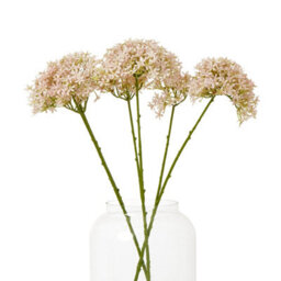 Wyld Haus Set Of 3 Pink Crown Hydrangea Silk Stems - Tall Faux Flowers 710mm - thumbnail 3