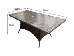 Signature Weave Darcey Wicker 8 Seater Dining Table Natural Rectangular - thumbnail 1