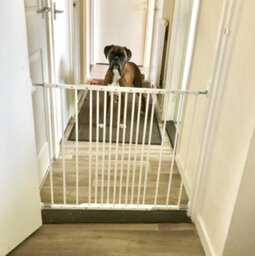Bettacare Extending Metal Screw Fit Dog Gate, White, 62.5Cm - 106.8Cm, Stair Gate For Pet, Safety Barrier For Puppy - thumbnail 6