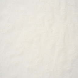 Living And Home Silky White Soft Warm Plush Fuzzy Throw Blanket 200Cm X 150Cm With 3D Leaf - thumbnail 6