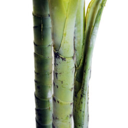 Outsunny 150Cm(5Ft) Palm Tree Artificial Faux Decor Green Plant Home Office - thumbnail 8