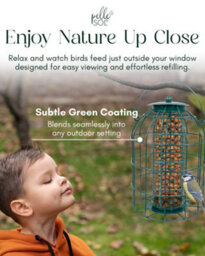 Pelle & Sol Outdoor Metal Peanut Bird Feeder Hanging Cage - Weather Resistant - thumbnail 5