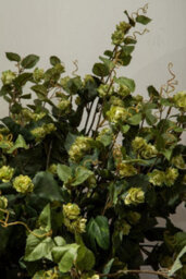 Orsina Elegant 88Cm Pale Lime Hops, Versatile Artificial Flower Foliage, Sustainable And Easily Maintained Hops - thumbnail 2