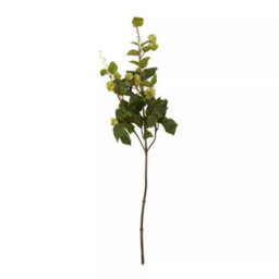 Orsina Elegant 88Cm Pale Lime Hops, Versatile Artificial Flower Foliage, Sustainable And Easily Maintained Hops