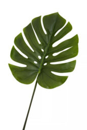 Orsina Monstera Palm Stem - 109Cm Green, Large Faux Leaf With Lifelike Texture And Bold Tropical Look, Adds Height - thumbnail 7