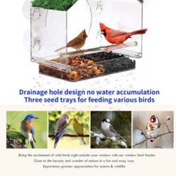 Window Bird Feeder With Strong Suction Cups, Removable Drainage Tray, Sloped Grass Roof,clear View, Squirrel Proof For Small Birds - thumbnail 2