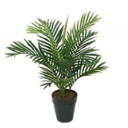 Best Artificial 2Ft - 60Cm Areca Palm Tree - thumbnail 1