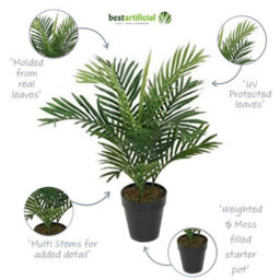 Best Artificial 2Ft - 60Cm Areca Palm Tree - thumbnail 3