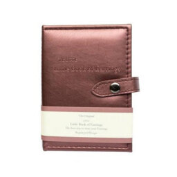 Little Book Of Earrings Portable Bronze Earring Organiser, Holds Up To 12 Pairs, Compact Travel Case - thumbnail 1