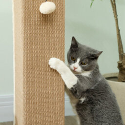 Pawhut Cat Scratching Post With Vertical Sisal Rope Ball Plush, 81Cm, Beige - thumbnail 7