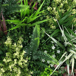True Products Premium Artificial Green Plant Living Wall Panel 50Cm X 50Cm - Carnival A - thumbnail 4