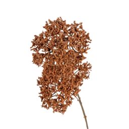 Candlelight Burnt Orange Sedum Single Stem Artificial Flower (H) 860mm - thumbnail 3