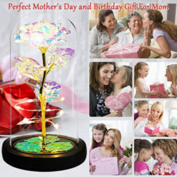 White Rose With Led Light In A Glass Dome, Decorative Night Light For Bedroom, Creative Gift For Valentine's Day Or Holidays - thumbnail 7