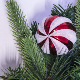 Christmas Tree World 50Cm Decorated Mixed Pine Wreath With Red & White Candy Canes - thumbnail 5