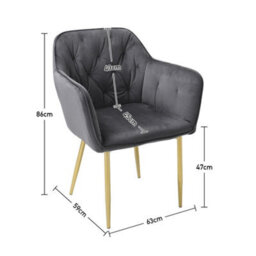 Darphe Grey Modern Velvet Dining Chair With Gold Metal Legs - thumbnail 6