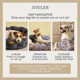 Rosewood Joules Festival Floral Box Dog Bed - thumbnail 7