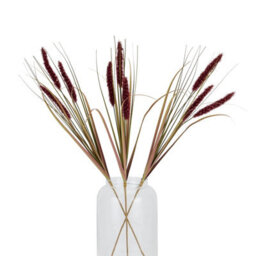 Ruby                  Triple                  Grass                  Stem - thumbnail 5
