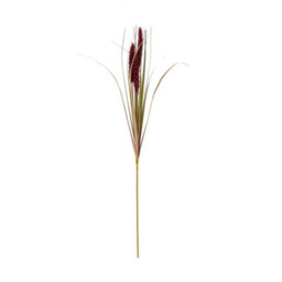 Ruby                  Triple                  Grass                  Stem - thumbnail 4