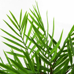 Leaf 40Cm Artificial Bamboo Palm Bush Plant - thumbnail 3