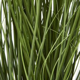 Wyld Haus 120Cm White Agapanthus Artificial Plant In Black Pot - thumbnail 4