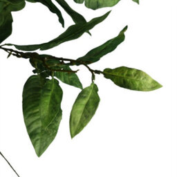 Leaf 90Cm Artificial Ficus Foliage Stem - thumbnail 4