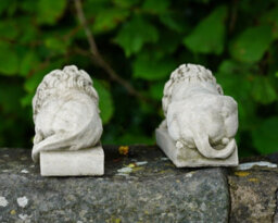 Burgess Pair Of Canova Lion Stone Statues Italian Classical Animal Outdoor Garden Lions Ornament Decoration - thumbnail 5