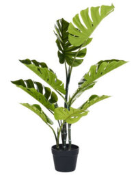 Wyld And Coco Evergreen Living Monstera Potted Artificial Plant 94 Cm Green With Black Cement Pot - thumbnail 1