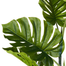 Wyld And Coco Evergreen Living Monstera Potted Artificial Plant 94 Cm Green With Black Cement Pot - thumbnail 3
