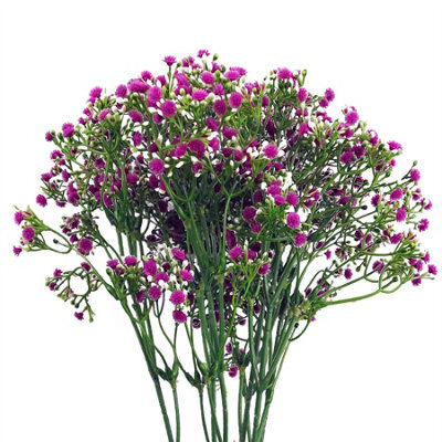 Leaf Pack Of 6 X 55Cm Gypsophila Pink Stem - image 1