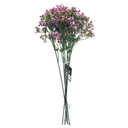 Leaf Pack Of 6 X 55Cm Gypsophila Pink Stem - thumbnail 5
