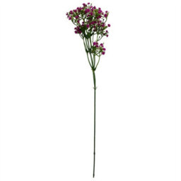 Leaf Pack Of 6 X 55Cm Gypsophila Pink Stem - thumbnail 3