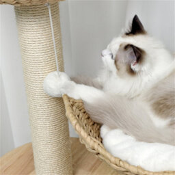 Bingopaw Solid Wood Cat Scratching Post Cat Tree Tower Kitten Condo, Embrace Basket Noon Break,60X40X99Cm - thumbnail 9