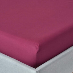 Homescapes Plum Egyptian Cotton Deep Fitted Sheet 200 Tc, Double