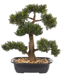 Beliani 44Cm Lifelike Artificial Bonsai Tree In Cement Pot, Green And Black Foliage - thumbnail 1