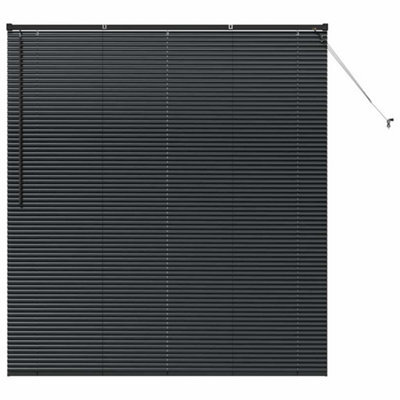 Berkfield Modern Window Blind With Curtains Manual Black Aluminium