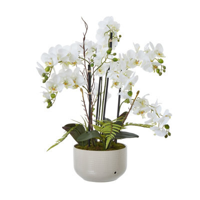 Wyld Haus Large White Artificial Orchid In Gloss Ceramic Pot 76 Cm - image 1