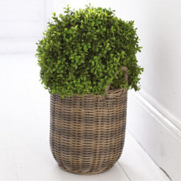 Bloom Artificial Large Boxwood Ball Topiary In Nursery Pot - Faux Fake Realistic Green Plant - Measures H50Cm X 40Cm Diameter