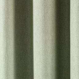 Fusion Sorbonne 100% Cotton Light Filtering Plain Dyed Green Eyelet Curtains - thumbnail 3
